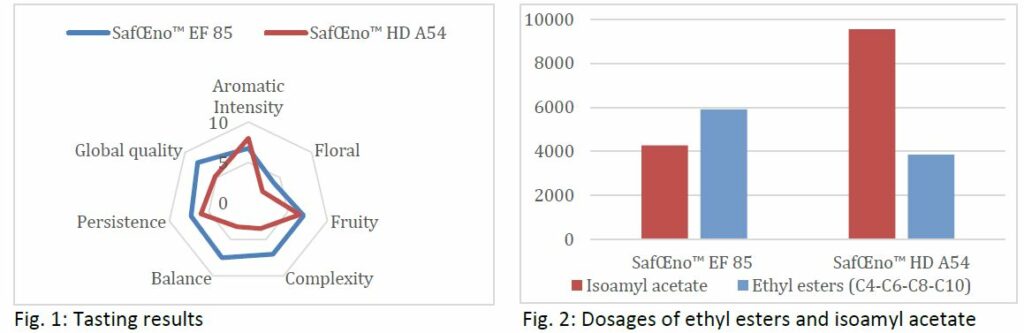 SafŒno™ EF 85 SENSORY PROFILE & ANALYSIS