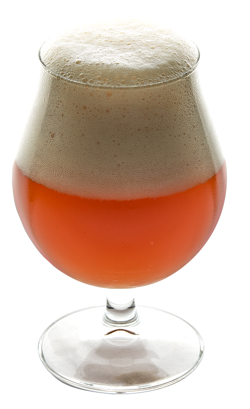 Fermentis SafBrew™ BR-8 glass