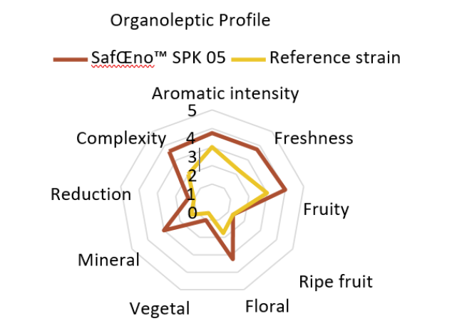 SPK05 organoleptic Profile