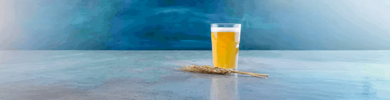 Witbier – Discover Origins, Characteristics and Yeast
