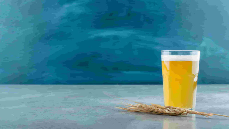 Witbier – Discover Origins, Characteristics and Yeast