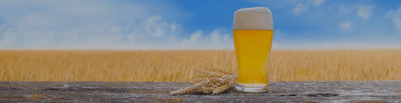 Brewer Stories: Creating German-style Wheat Beers with SafAle™ W-68