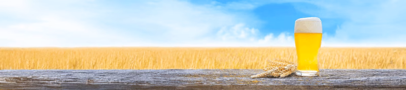Brewer Stories: Creating German-style wheat beers with SafAle™ W-68