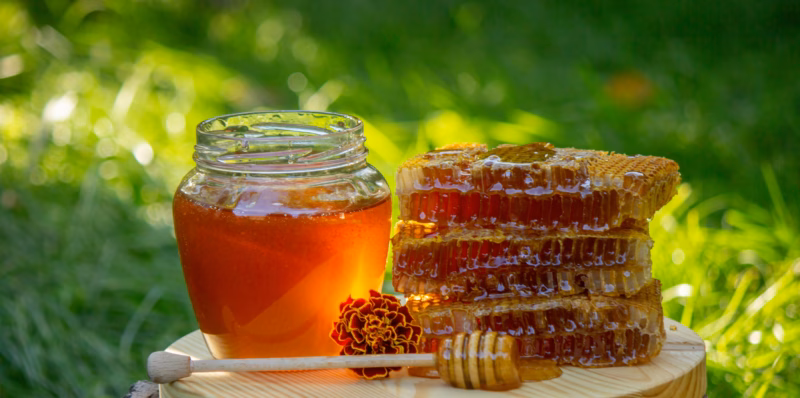 Selecting the Best Yeast for Mead Making